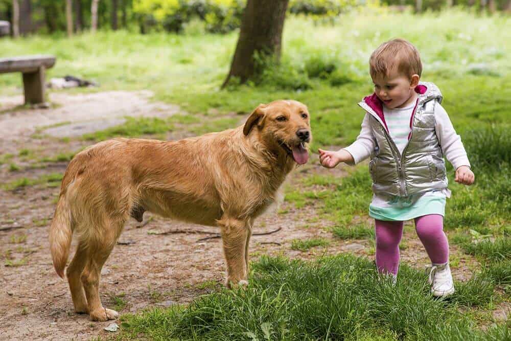 Little girl and dog